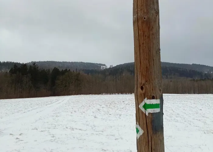 Prázdninový dům Szychowka