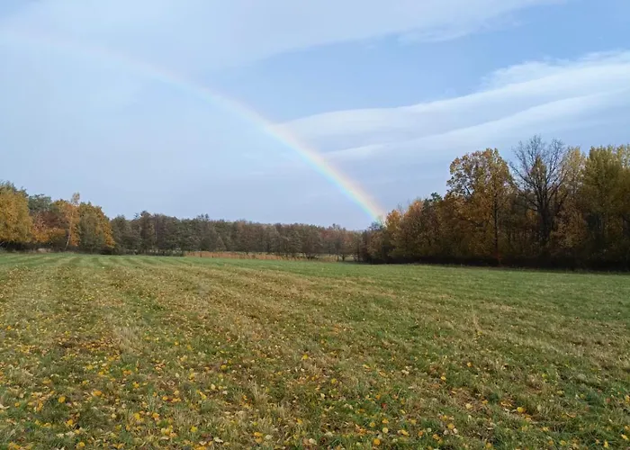 Szychowka * Szczawina